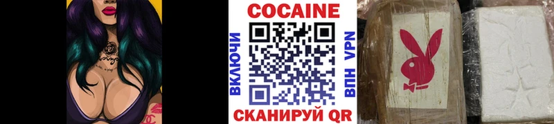 Купить  Бологое  COCAIN Эквадор 