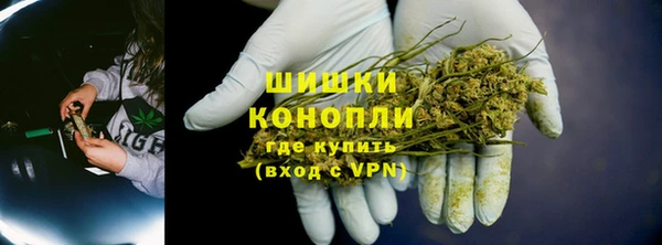 гидропоника Иннополис