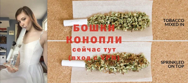 гидропоника Иннополис