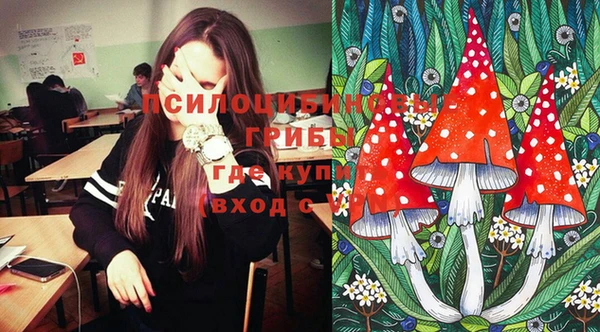 молекула духа Инта