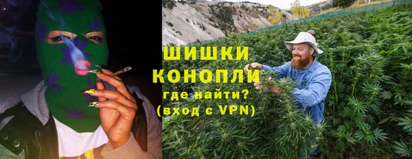 прущая мука Инсар
