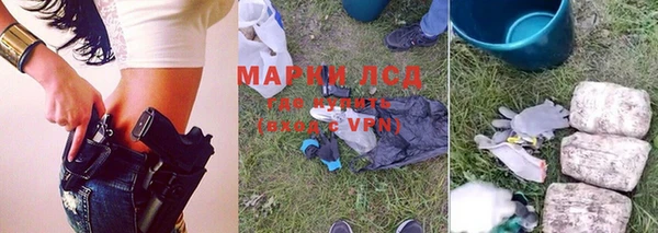 гидропоника Иннополис
