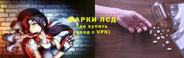 гидропоника Иннополис