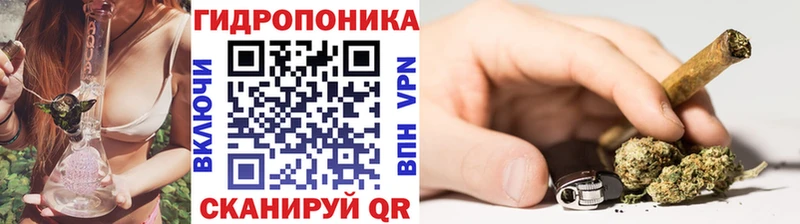 Бошки Шишки OG Kush  Купить закладки  Бологое 